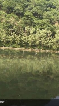 白条秒到怎么刷