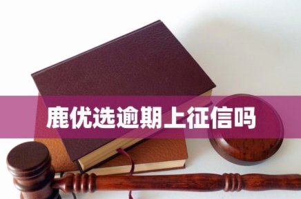 鹿优选怎么借钱