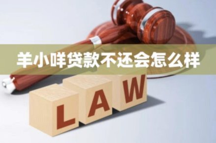 羊小咩金融背后的公司揭秘