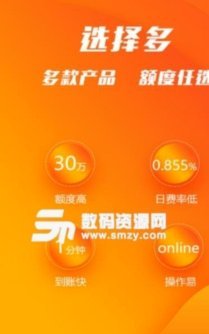 海鸥app贷款：风险与机遇并存