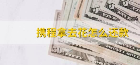 拿去花为何不再通行