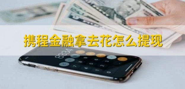 拿去花现在怎么用不了了