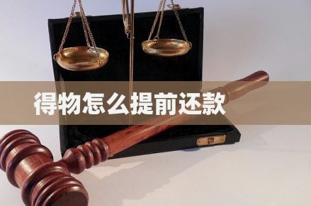 得物分期付款如何实现资金变现？风险深度解读