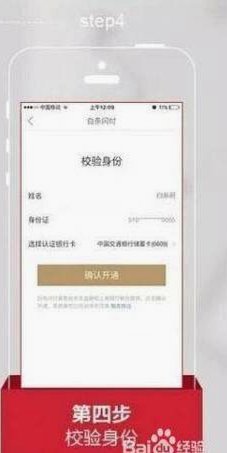 京东白条：变现技巧与风险