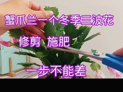 深度解析：携程的“拿去花”，用户能如何利用？