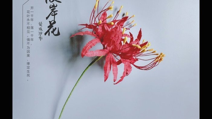 携程拿去花提现全流程解析