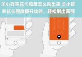 羊小咩购物额度100