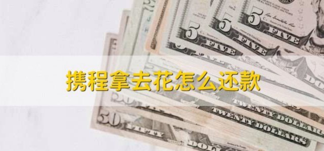 拿去花能取现吗 怎么提前还款