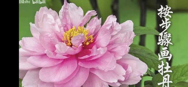 花呗合法吗？深挖平台背后的风控逻辑