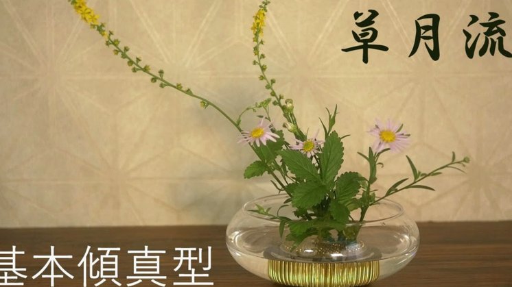 花呗秒套平台有哪些 取现功能