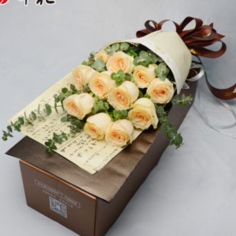 揭秘“拿去花”套现安全背后的真相