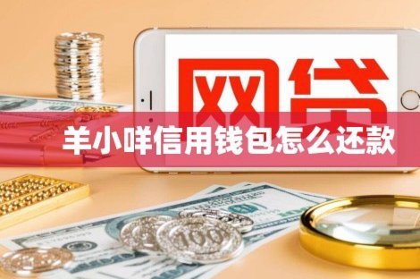 羊小咩临时额度怎么套