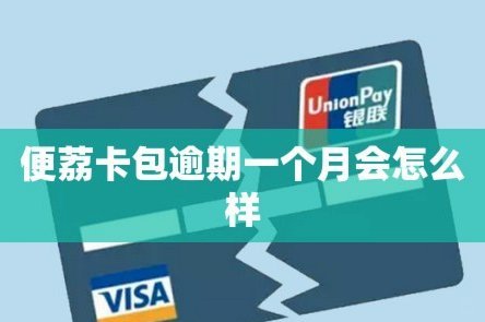 便荔卡包怎么样