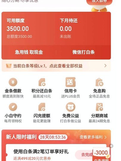 白条额度如何提升与合理使用