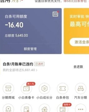 白条付费额度怎么套 取出来
