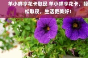 拿去花取现能否成功下款？