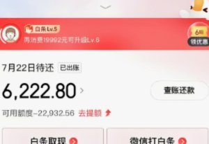 京东白条：真的能变现吗？