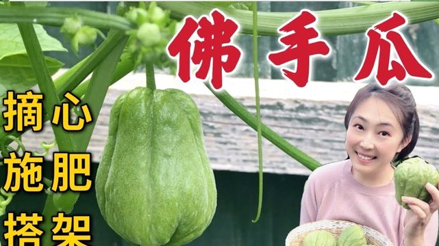 拿去花套现，商家必回收