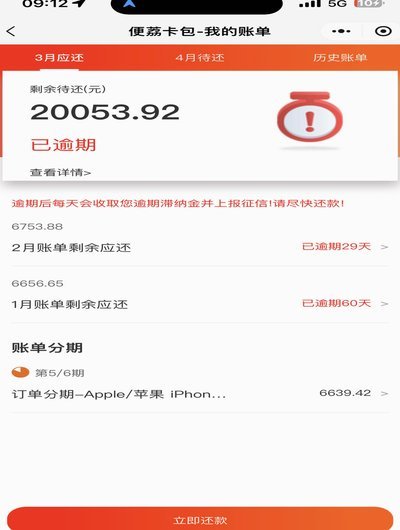 羊小咩逾期不还的多重影响