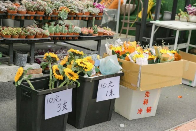 哪里可以套拿去花