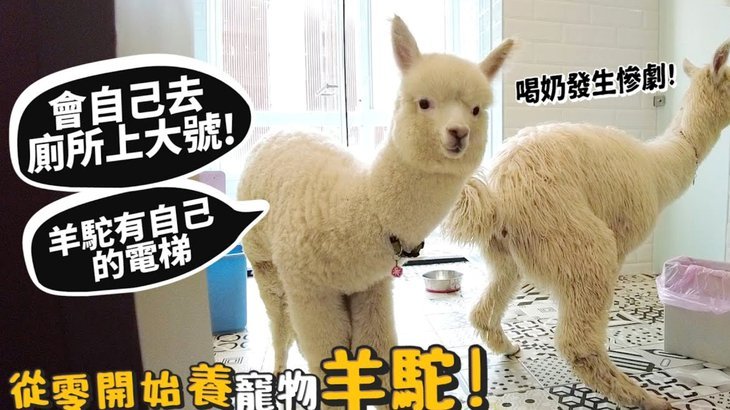 便荔卡套现手续费 怎么计算