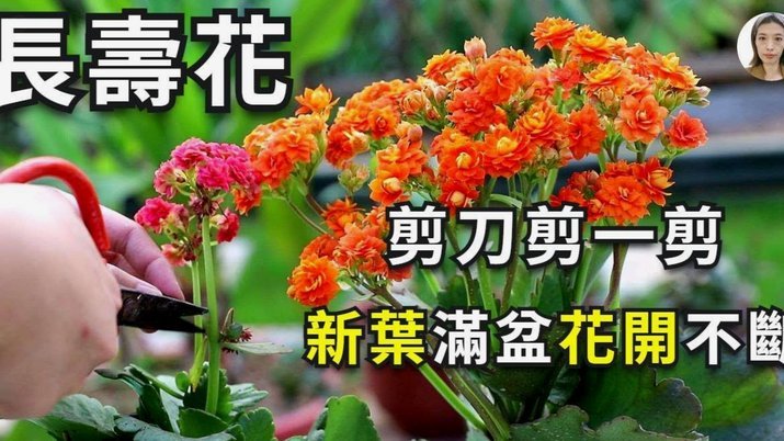 套现花呗需要手续费吗 现在还能用吗