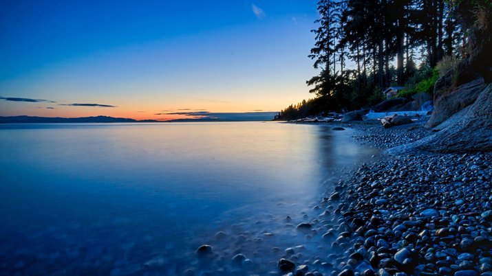 鹿优选点数很高吗