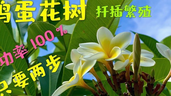 携程“拿去花秒到”现金怎么用