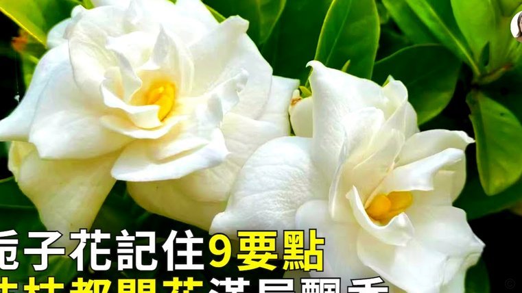 携程拿去花秒到 现金怎么用