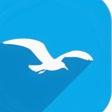 海鸥app：数据驱动的智能引擎