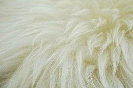 美团月付套现联系方式 取消