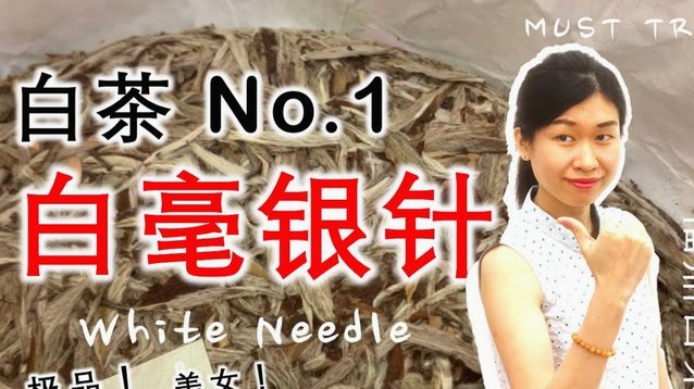 白条借款：高效申请的技巧与方法