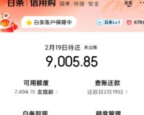 别再问“京东白条怎么提现”了，先弄清楚它是什么