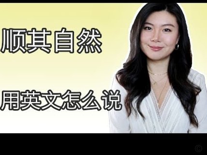 美团生活费：风险与治理之道