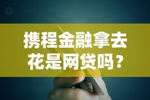 携程拿去花能干嘛
