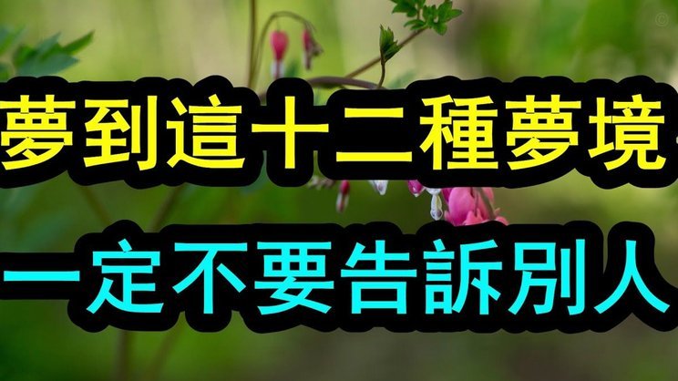 套取花呗出借利息能否支持