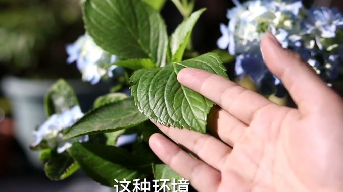 携程积分套现的隐藏技巧