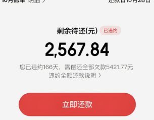如何刷白条消费