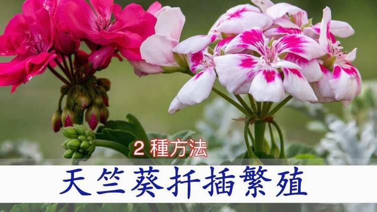 花呗套给别人钱会怎么样