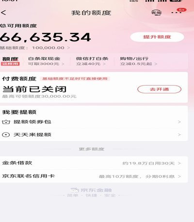 白条付费额度是白条吗