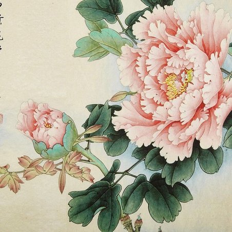 花呗多重联系渠道解析
