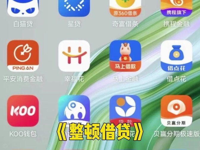海鸥贷平台