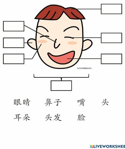 放心借刷脸怎么跳过