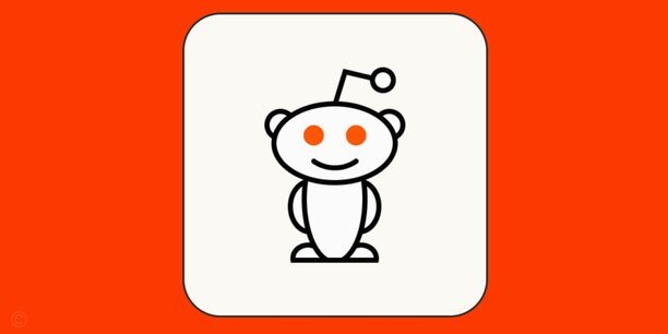 羊小咩从哪里发货