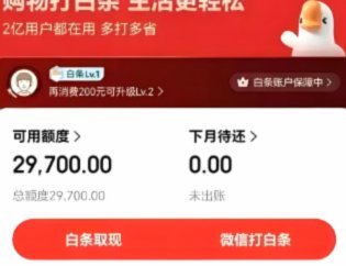 白条额度是如何动态生成的？