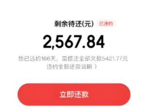 白条额度怎么提取出来的