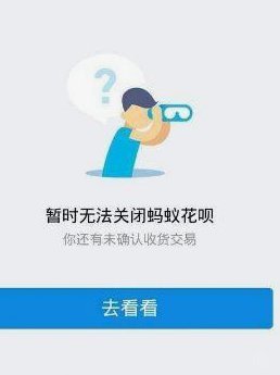 花呗的裂痕：用户权益与风险透视