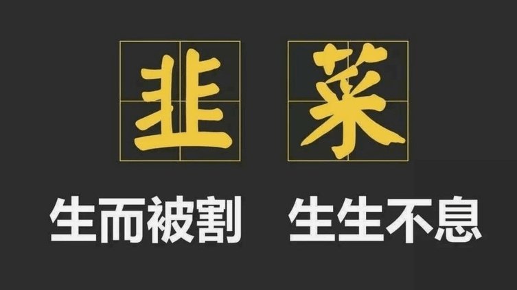 京东白条提现方式 出来怎么还款