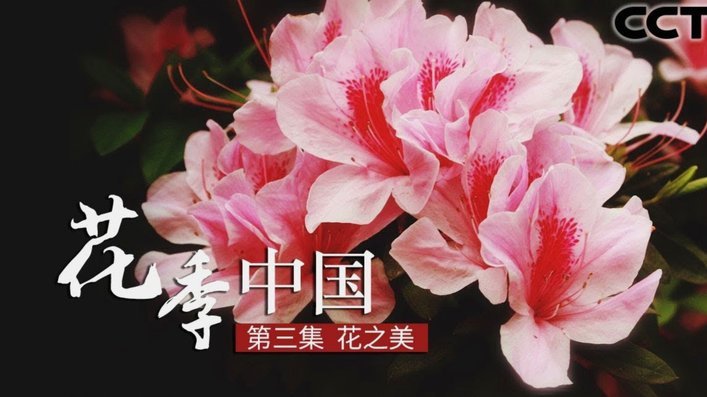 花呗兑现商家 怎么退款