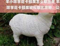 美团月付取现需要什么条件